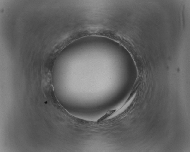 X0000077361349200611031836