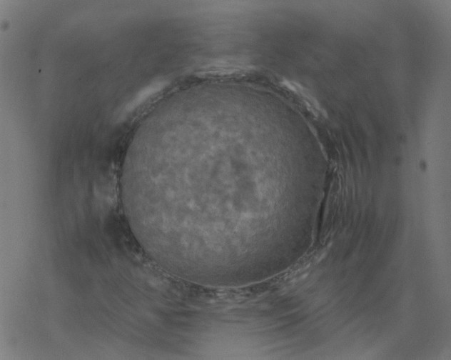 X0000077361350200611031836