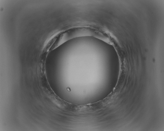 X0000077361352200611031836