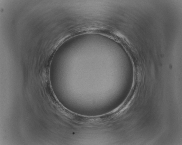 X0000077361353200611031836