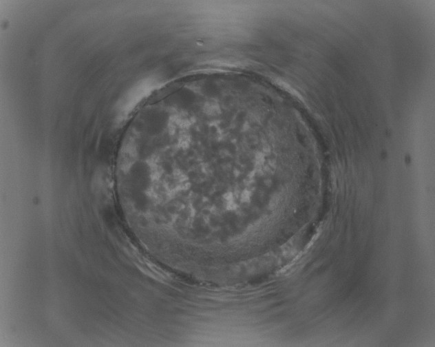 X0000077361355200611031836