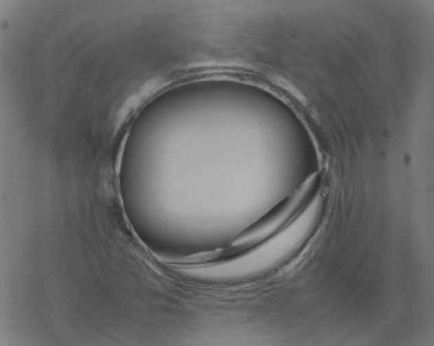 X0000077361357200611031836