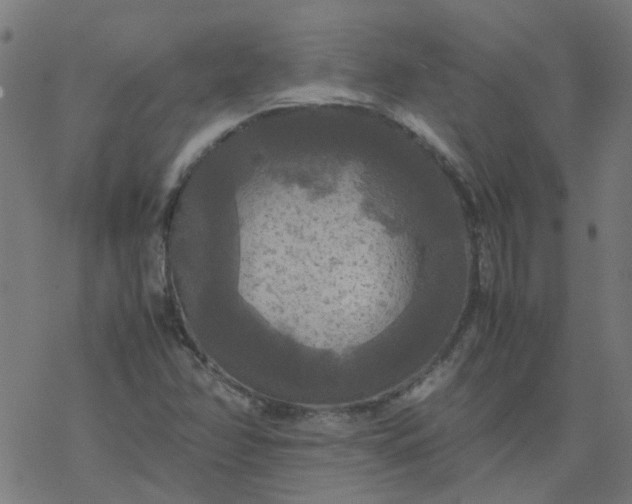 X0000077361358200611031836