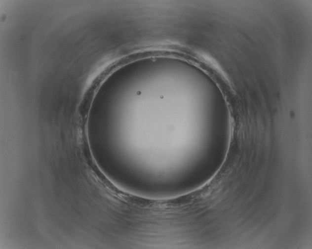 X0000077361360200611031836