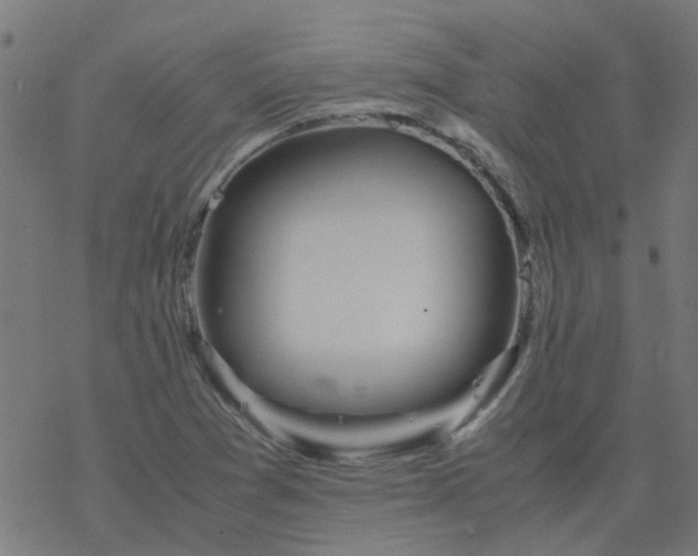 X0000077361361200611031836