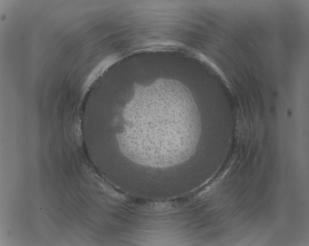 X0000077361362200611031836