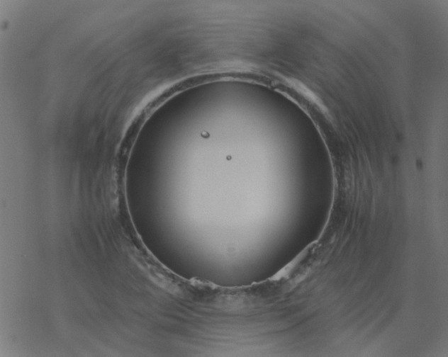 X0000077361364200611031836