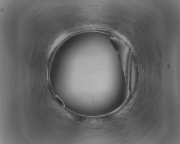 X0000077361365200611031835