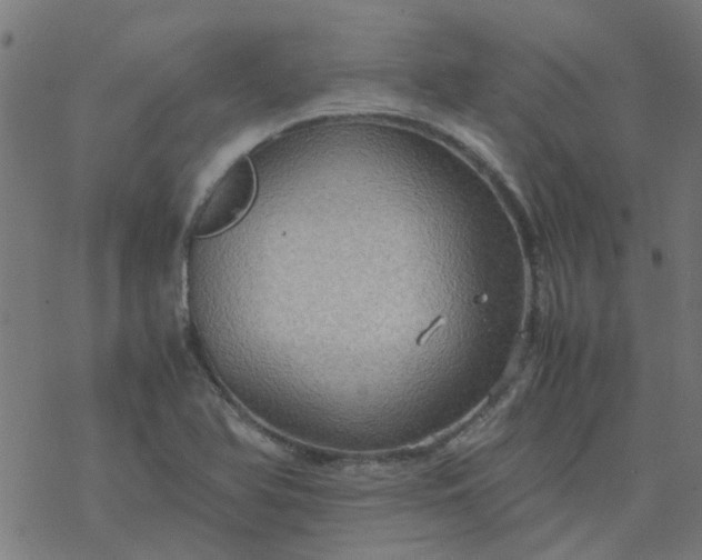 X0000077361366200611031835