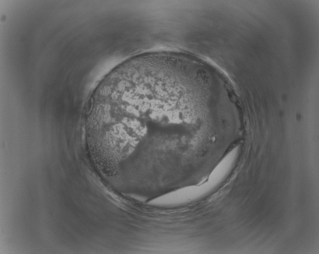 X0000077361367200611031835