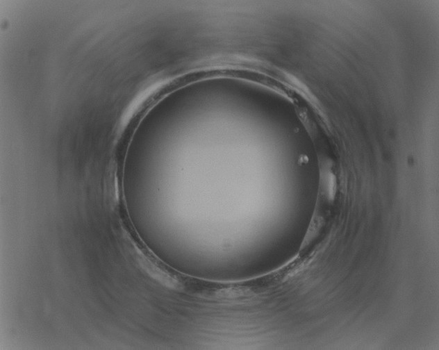 X0000077361368200611031835