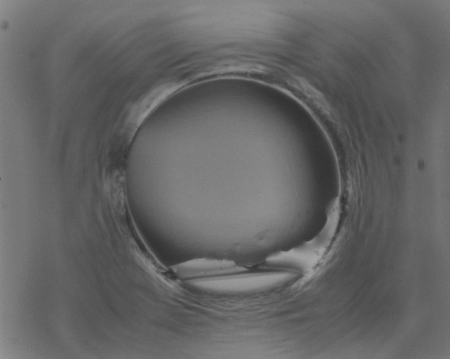 X0000077361369200611031835