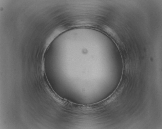 X0000077361370200611031835