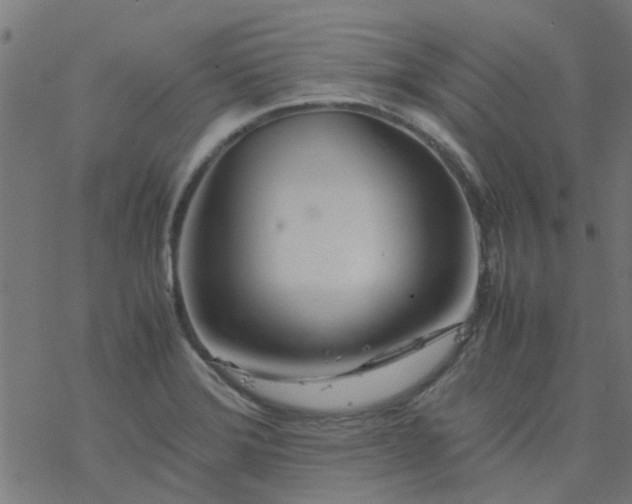 X0000077361372200611031835