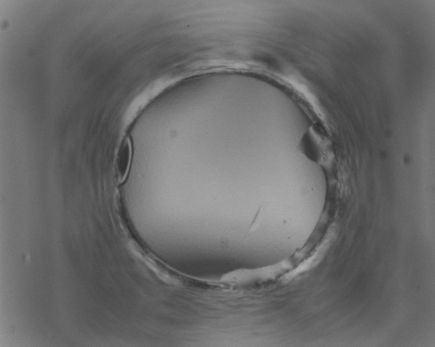 X0000077361373200611031835