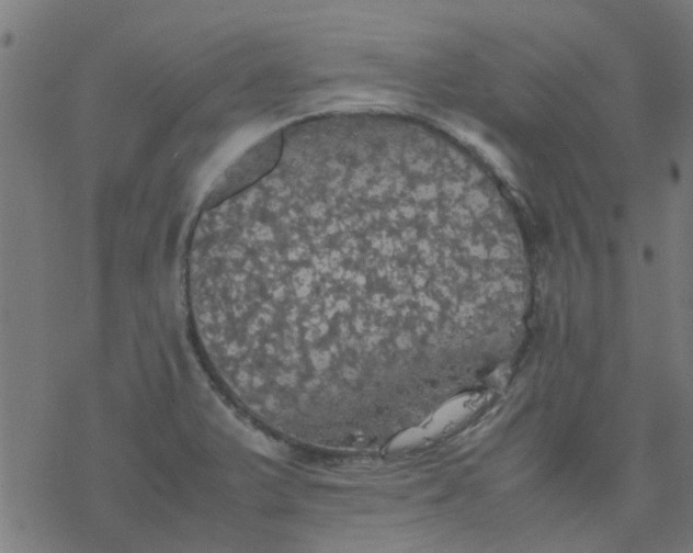 X0000077361375200611031835