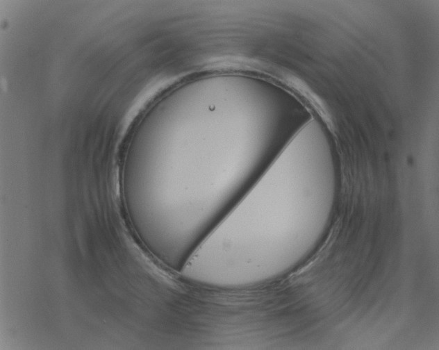 X0000077361376200611031835