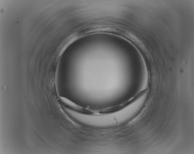 X0000077361377200611031835