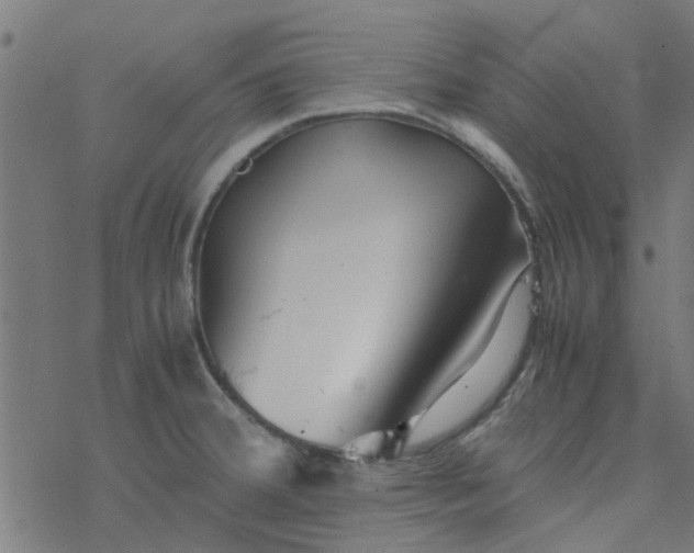 X0000077361380200611031835