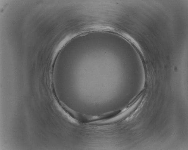 X0000077361381200611031835