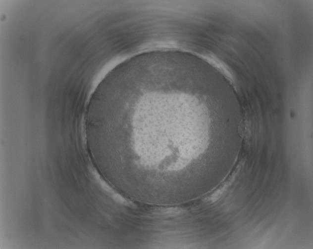 X0000077361382200611031835