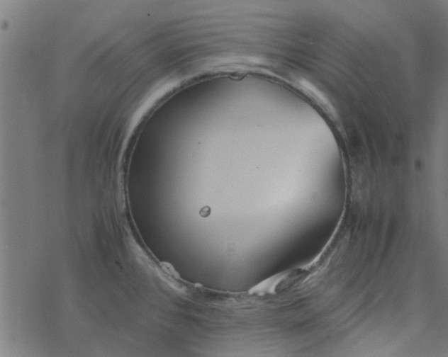 X0000077361384200611031835