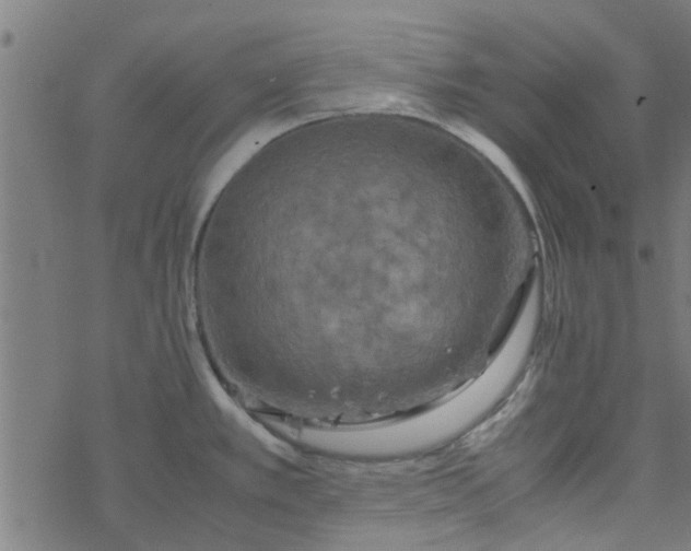 X0000077361389200611031835