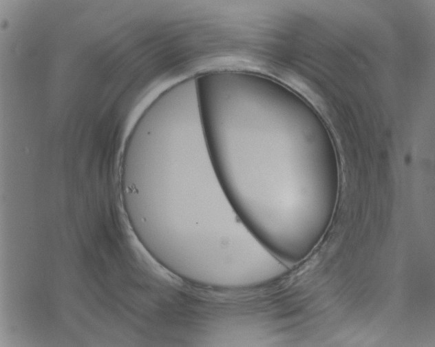 X0000077361392200611031835