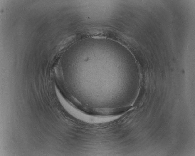 X0000077361394200611031834