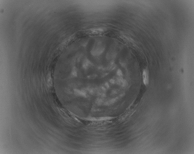 X0000077361395200611031834