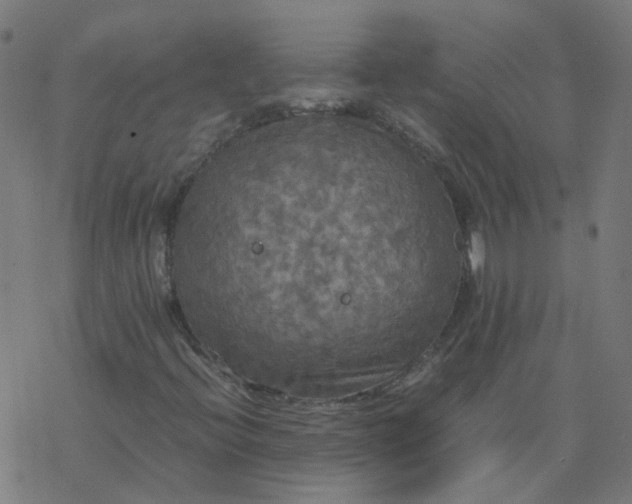 X0000077361396200611031834