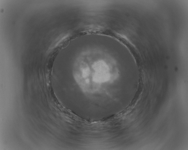 X0000077361399200611031834