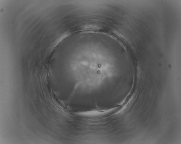 X0000077361401200611031834