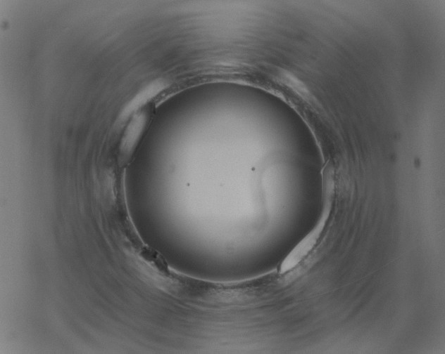 X0000077361402200611031834