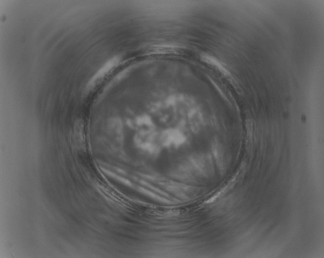 X0000077361403200611031834