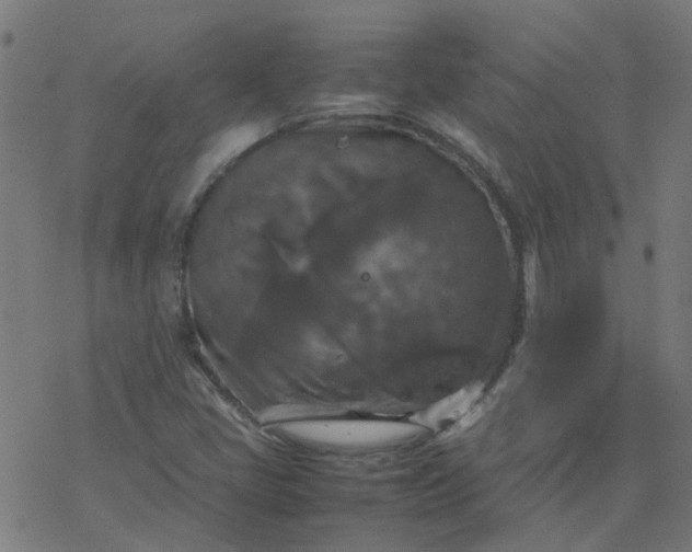 X0000077361405200611031834