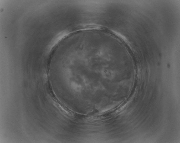 X0000077361407200611031834