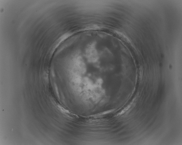 X0000077361409200611031835