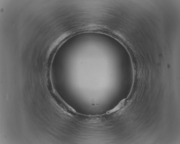 X0000077361410200611031835