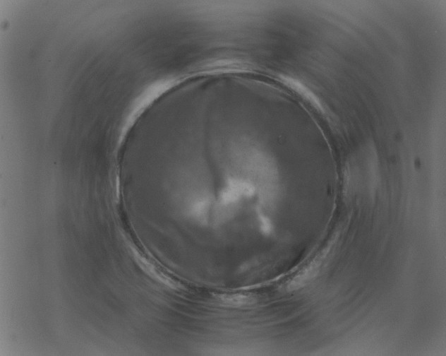 X0000077361413200611031835