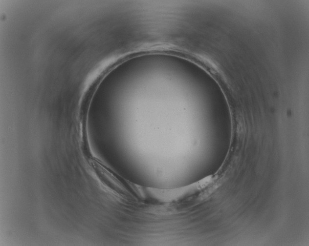 X0000077361414200611031835