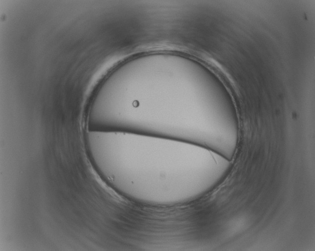 X0000077361416200611031835