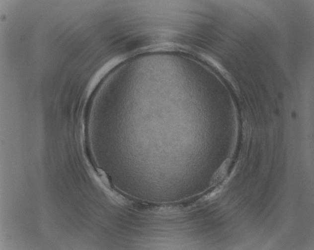 X0000077361418200611031835