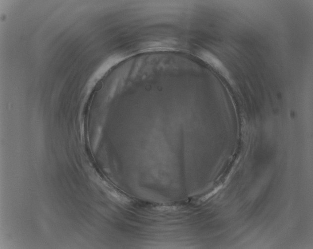 X0000077361419200611031835