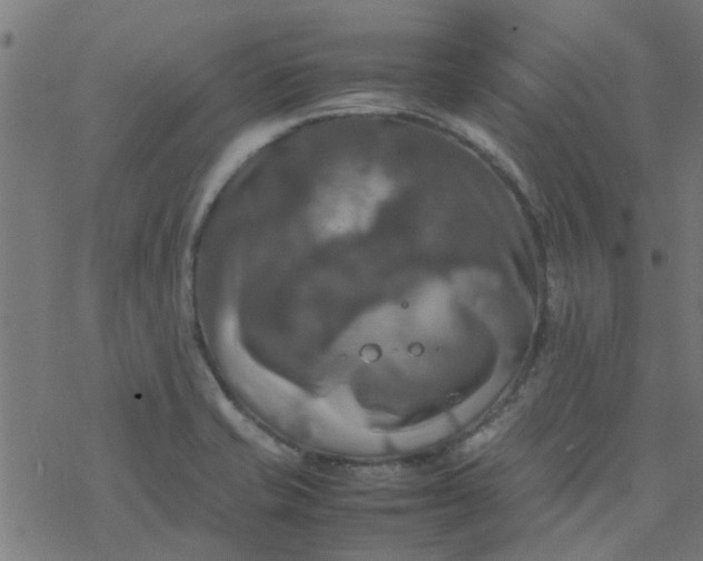 X0000077361421200611031835