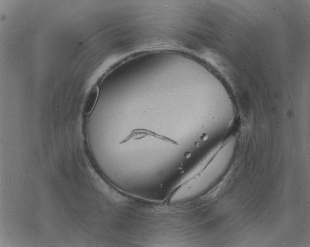 X0000077361422200611031835