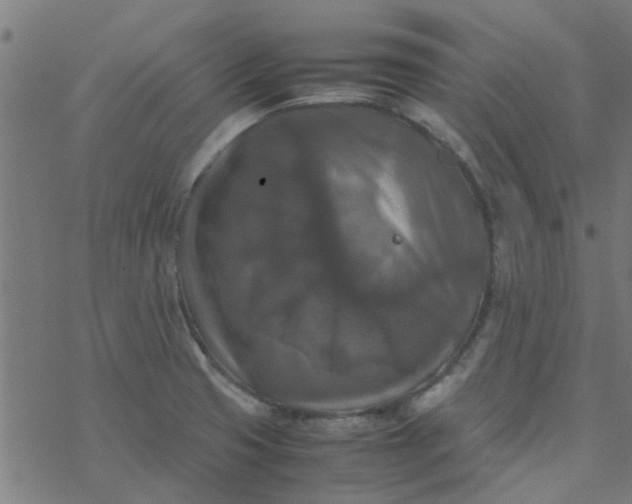 X0000077361425200611031835