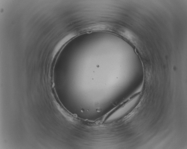 X0000077361426200611031835