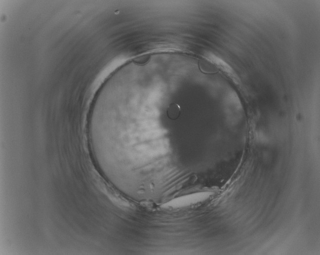 X0000077361427200611031835