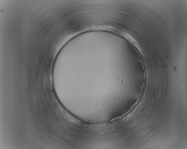 X0000077361428200611031835